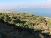 60-mitzpe-hashalom-see-genezareth_img_1769